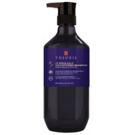 Theorie Purple Brightening Shampoo 400ml